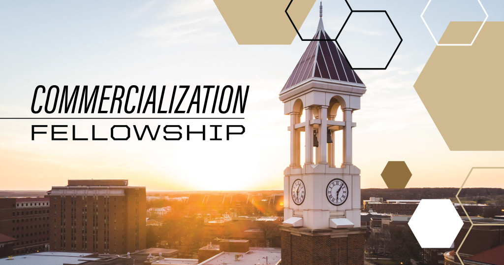 Decorative image: Commercialization Fellowship