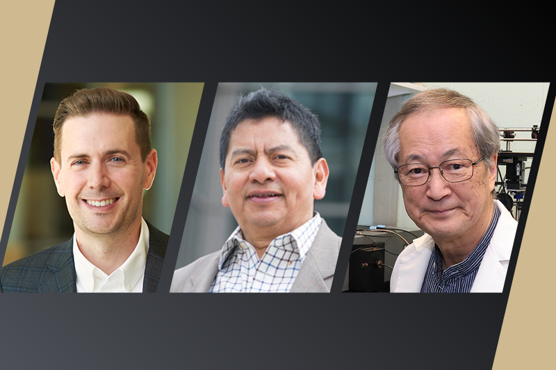 David Love, Ernesto E. Marinero, and Masanobu Yamamoto