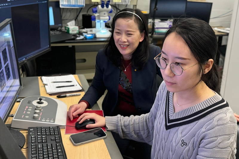 Haiyan Wang (left), the Basil S. Turner Professor of Engineering in Purdue University’s School of Materials Engineering, and graduate student Chao Shen work on a transmission electron microscope at Neil Armstrong Hall of Engineering.